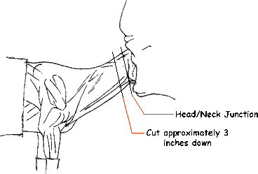 Deer illustration showing shoulder mount caping reference